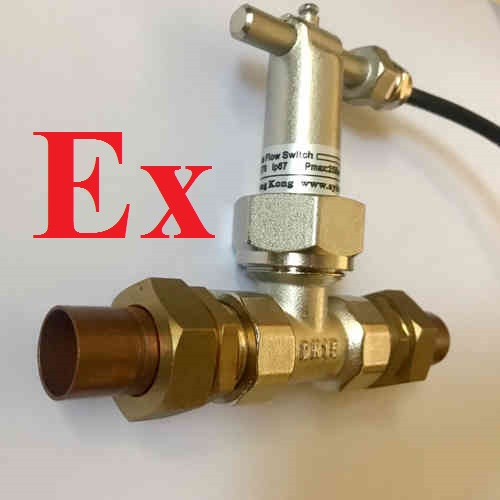 Red Copper Pipe Welded Flow Switch ATEX