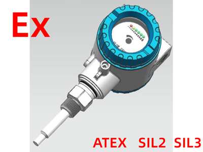 ATEX Calorimetric Flow Switch