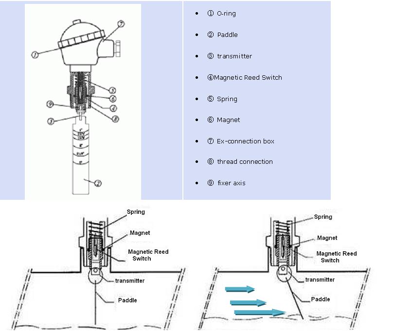 Ex Paddle flow switches structure