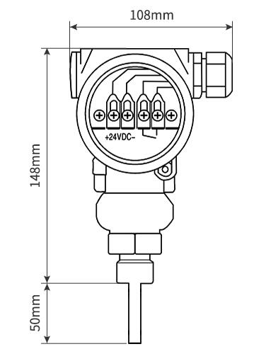 The drawing of Ex thermal flow switch